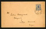 F35. 25 BIT som singelfrankering på brev till Danmark, sänt under övergångsperioden mot amerikanskt styre. CHRISTIANSTED 29.3.1917. Litet riss 1 cm av mindre betydelse.