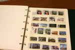 Tyskland/Bund. Omfattande stpl samling inkl dubbletter 1949-2021 i två album. 