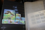 Hela världen. Stor flyttlåda med album med mängder av länder representerade.