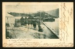 Vykort till Tyskland (nuv Polen) med motiv från St Thomas. Stämplat ST.THOMAS 12.11.1901 och ank-stpl i Breslau 2 december.