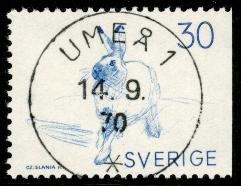 F642. UMEÅ 1 14.9.70. Lyx
