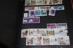Flyttlåda med ca 15 album. Bl.a. USA, Tyskland, Norden. Mest intressant kanske ett par visiralbum handlarlager prismärkta serier från Rumänien, UAR, Yemen m.m. Även en bunt äldre ryska helark.