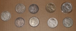 Parti med fem Morgan silver dollars och fyra peace silver dollars. Blandad kvalitet. 