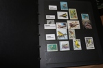 FÅGLAR. Samling i flyttlåda med tre visirpärmar frimärken, med stor del postfriskt sorterat på arter. Dessutom fyra pärmar brev och maximikort med fågelmotiv, både svenskt och utländskt.