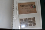 TYSKLAND/REICH. Samling 1871-1932 i Leuchtturmalbum med fickor. Välfylld och delvis specialiserad samling med många bröstsköldar inkl både ost och stpl Mi8, stpl Mi11 och Mi28 m.m. (några signerade).