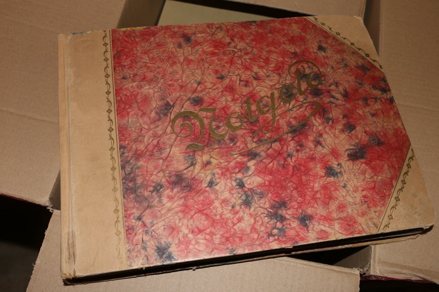 TYSKLAND. Notgeld. Genuin äldre samling Notgeld-sedlar i tre album. Hundratals sedlar, fascinerande samling! Bilderna är bara ett urval, det är mycket!