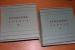 EUROPA. Samling i två decimetertjocka Schaubek-album klassiskt-1940. Med en del lite bättre märken, ojämnt besatt och en del urplockat, men fortfarande tusentals märken och bra geografisk spridning.