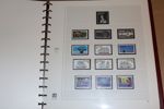 KANADA. Samling xx i sex vinröda SAFE-album med fickor från starten fram till 1993. Helt tomt före 1970-talet, men välfyllt xx från 1977 och framåt. Lågt utrop med tanke på de fina albumen!