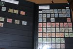 NEDERLÄNDERNA. Stort parti/samling i 10 tjocka insticksböcker klassiskt-semimodernt inkl en del bättre märken. Ofta många ex av varje märke så det är väldigt mycket material. 
