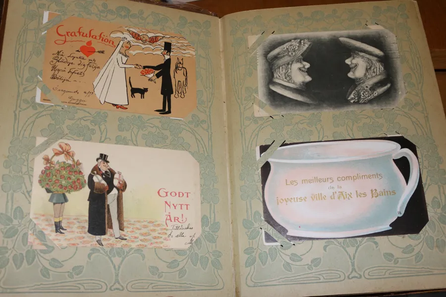 Vykortsalbum med 100 kort tidigt 1900-tal. Mest tematiska kort med humor på olika nivåer, men även två sedelkort, "jättedamer" m.m.