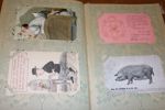 Vykortsalbum med 100 kort tidigt 1900-tal. Mest tematiska kort med humor på olika nivåer, men även två sedelkort, "jättedamer" m.m.