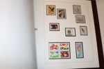 IDROTT. Parti med åtta välfyllda album xx märken, serier, block. Tidsperiod 1960-80-tal och från hela världen. Förutom vackra motiv har även "bättre" märken skymtats. Från dödsbo, rekommenderas!