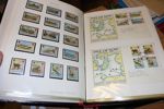 ENGLAND, IRLAND, KANALÖARNA. Parti 6 album i låda, mest stämplat vilket i Kanalöarnas fall kan tyckas mer intressant. Mest billiga frimärken men mycket material och intressant samlingsområde.