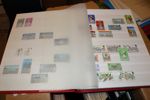 ENGLAND, IRLAND, KANALÖARNA. Parti 6 album i låda, mest stämplat vilket i Kanalöarnas fall kan tyckas mer intressant. Mest billiga frimärken men mycket material och intressant samlingsområde.