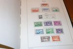Fin samling Island 1873-1989 i ett Leuchtturmalbum med en del extrasidor.