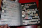 EUROPA. Europasamling (Ej Norden, ej Tyskland) i 10 insticksalbum, flera av dem väldigt tjocka. Många tusen frimärken med fyndchanser, sorterat landsvis. Både äldre och nyare material. 